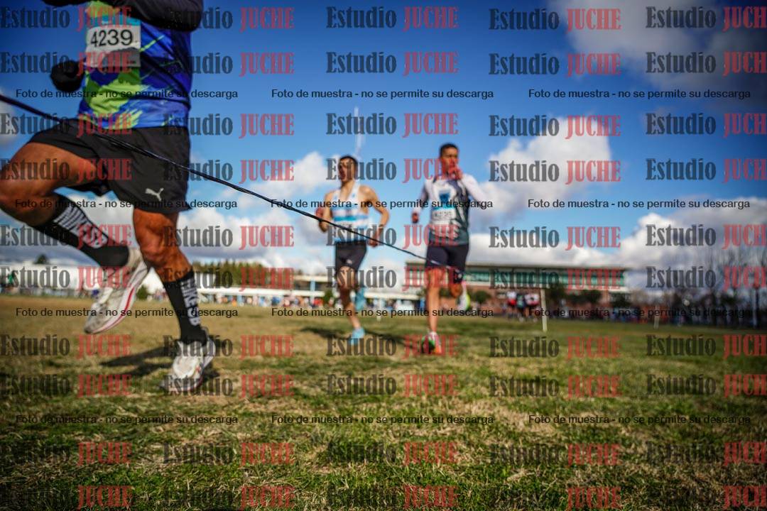 Fotos en el circuito