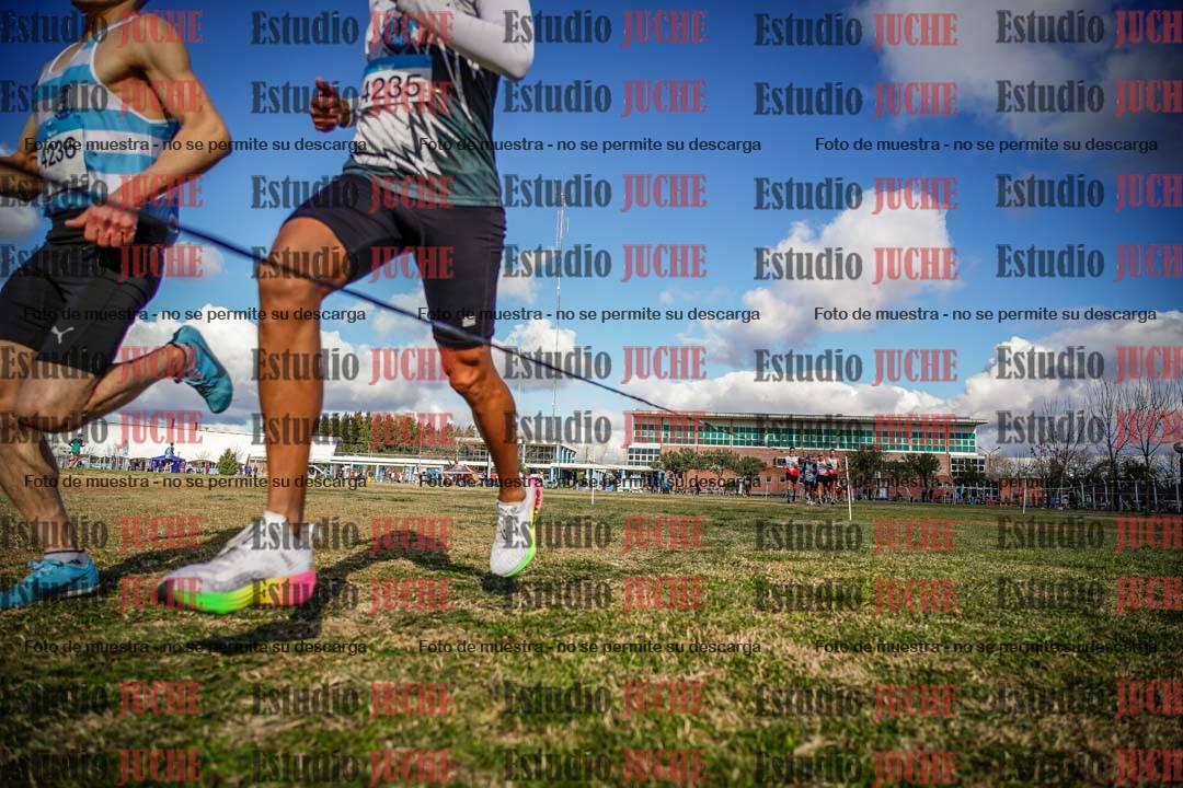 Fotos en el circuito