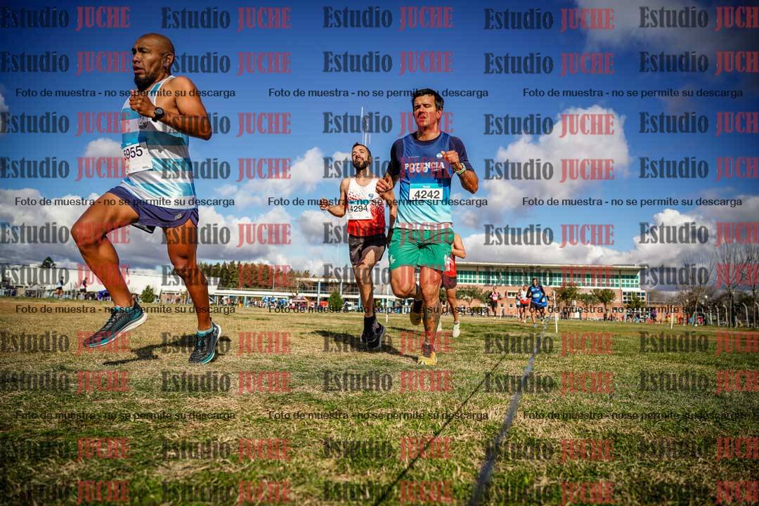 Fotos en el circuito