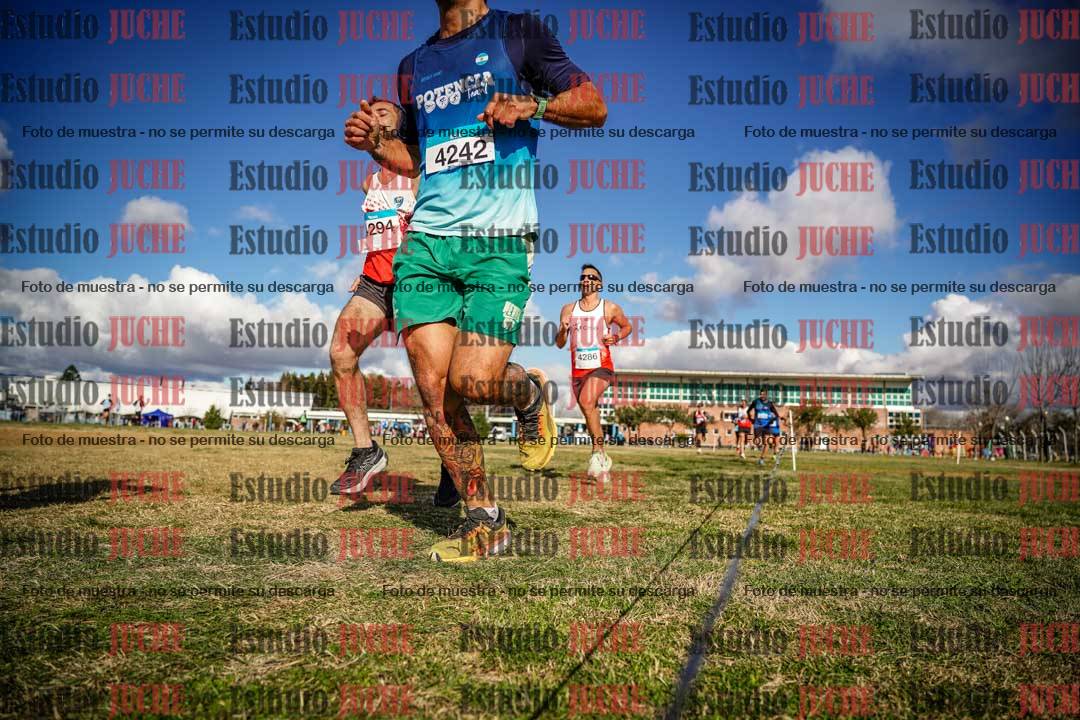 Fotos en el circuito