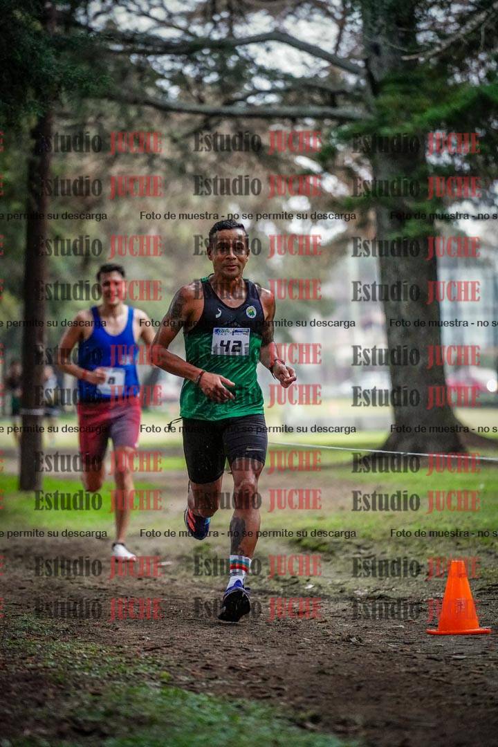 Fotos en el circuito