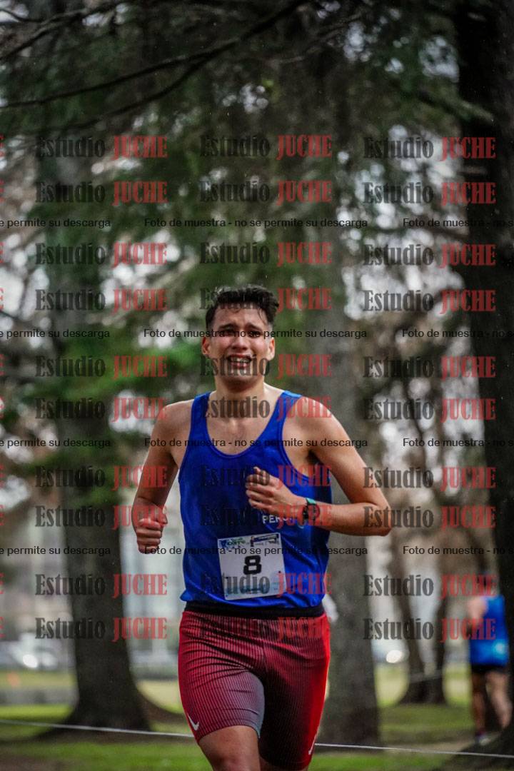 Fotos en el circuito