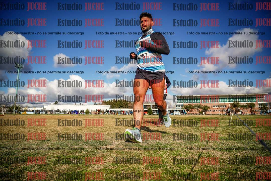 Fotos en el circuito