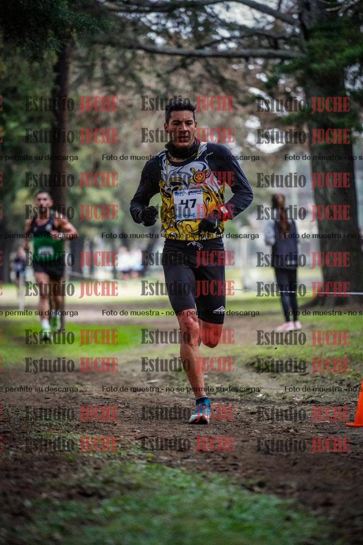 Fotos en el circuito