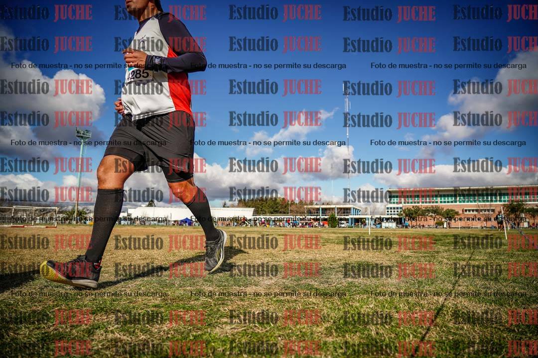 Fotos en el circuito