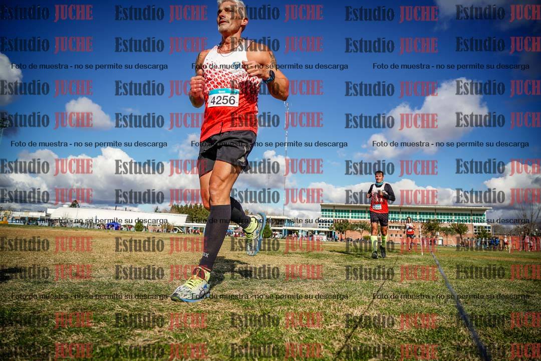 Fotos en el circuito