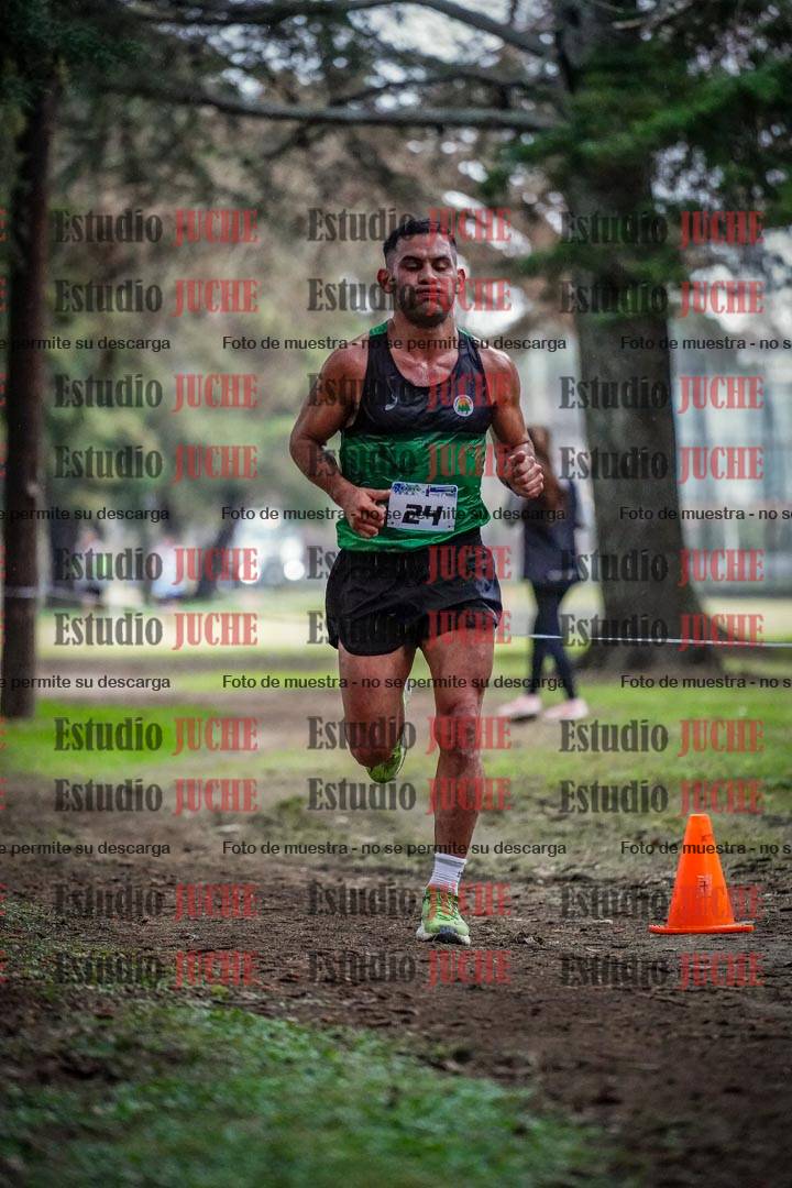Fotos en el circuito