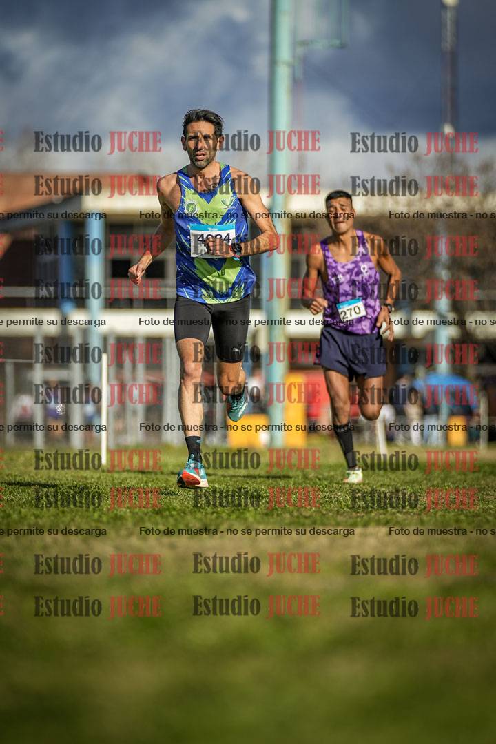 Fotos en el circuito