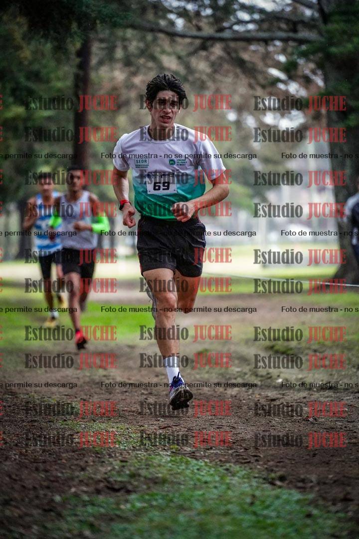 Fotos en el circuito