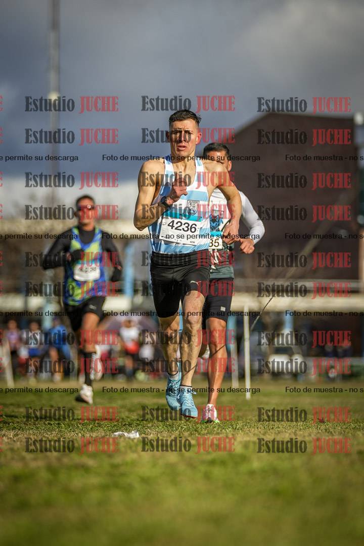 Fotos en el circuito