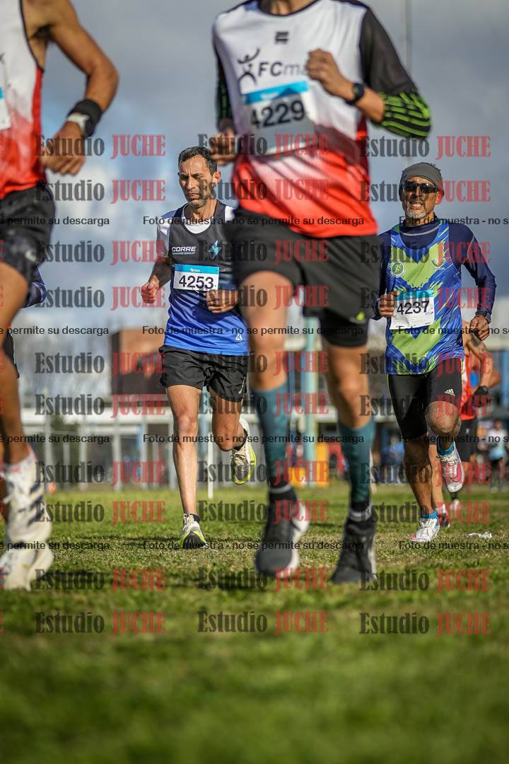 Fotos en el circuito
