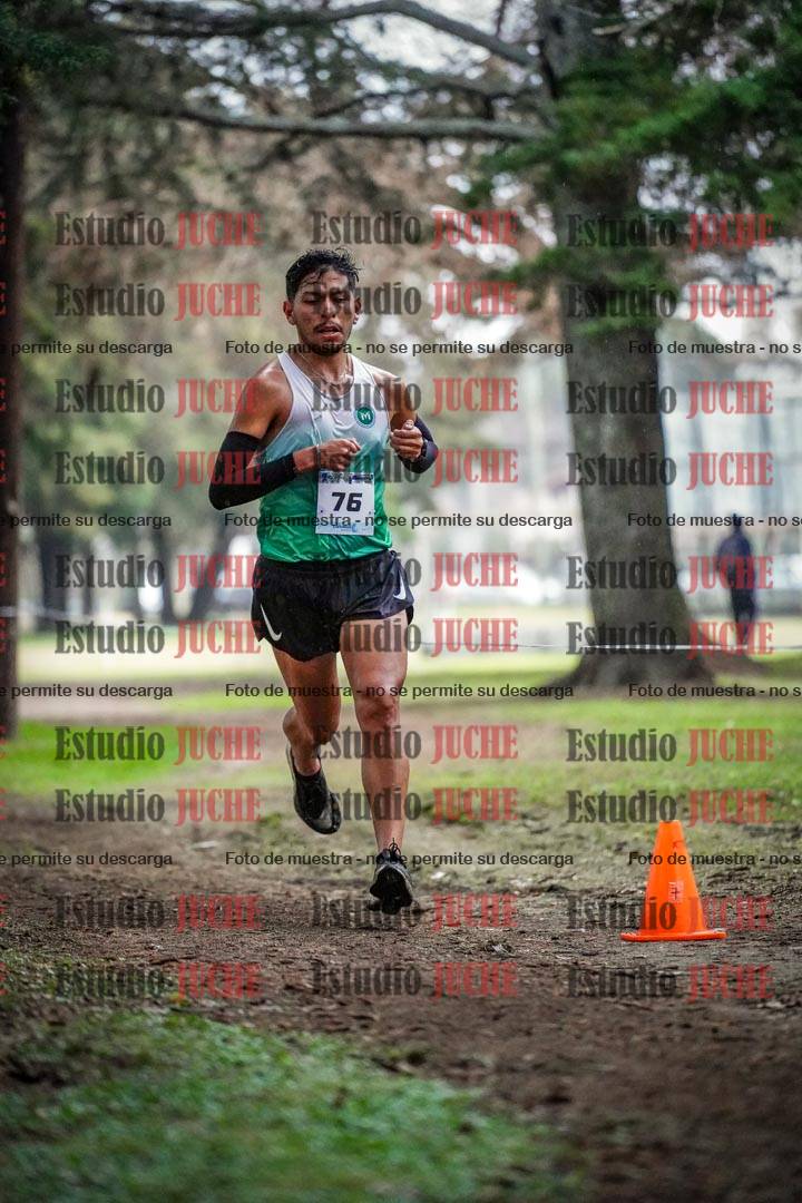 Fotos en el circuito