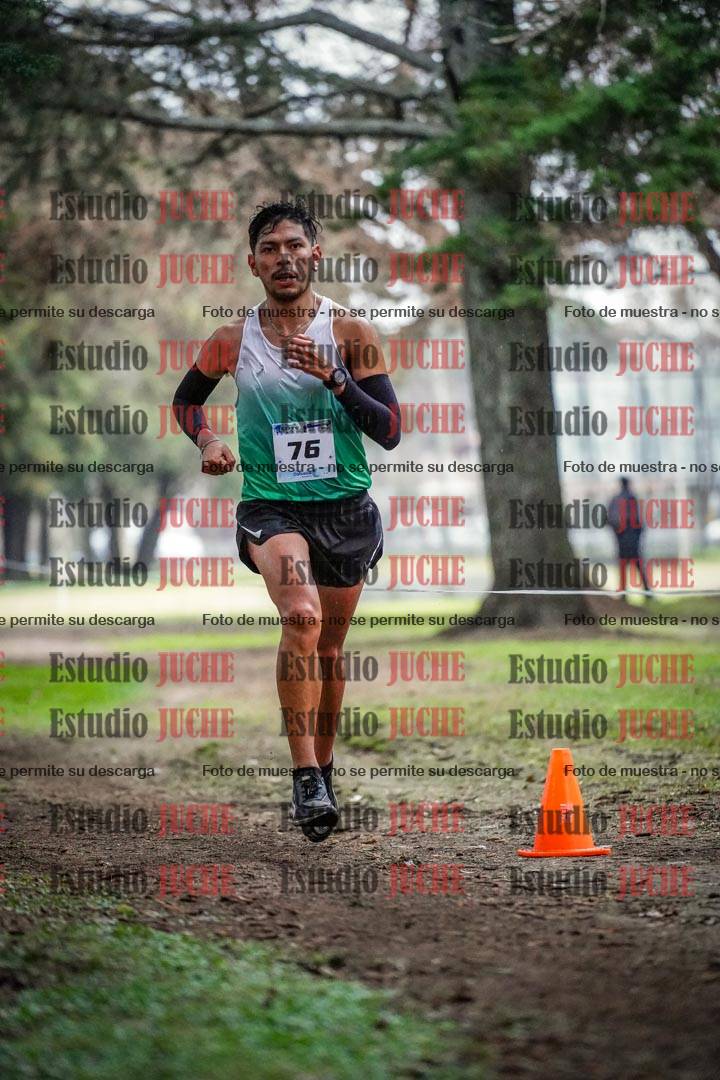 Fotos en el circuito
