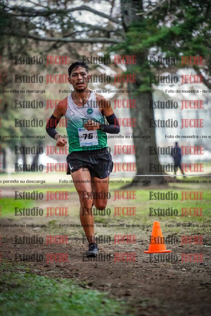 Fotos en el circuito