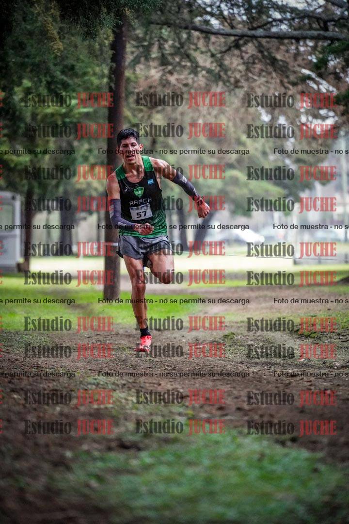Fotos en el circuito