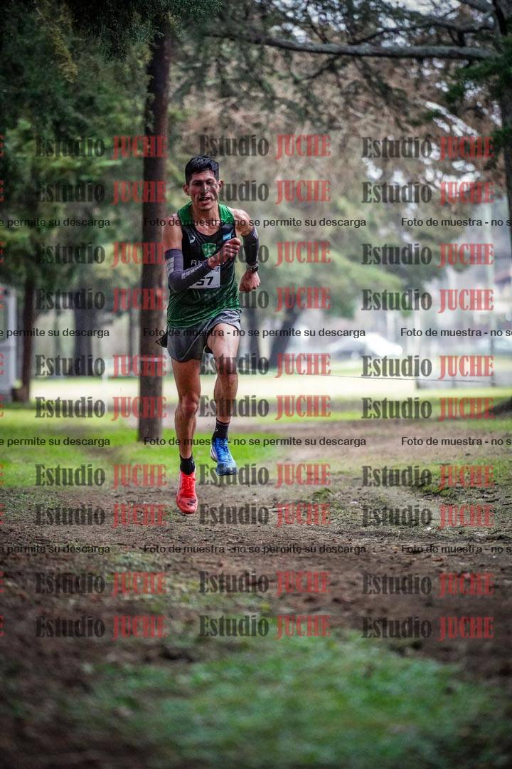 Fotos en el circuito