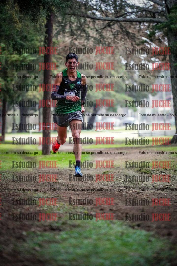 Fotos en el circuito