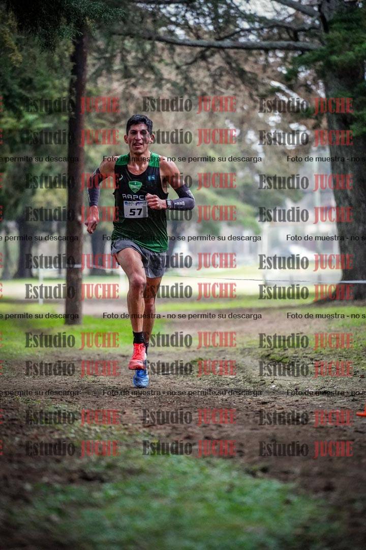 Fotos en el circuito