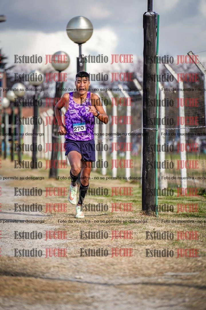 Fotos en el circuito