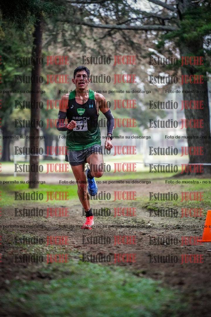 Fotos en el circuito