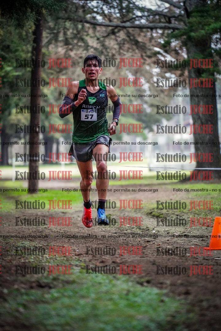 Fotos en el circuito