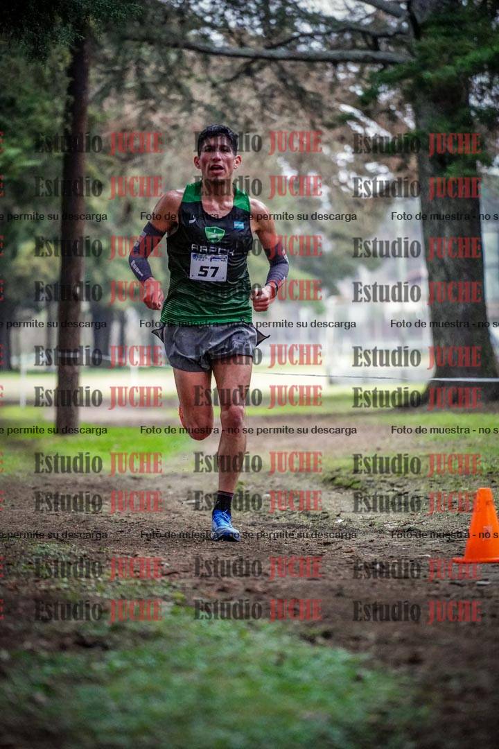 Fotos en el circuito