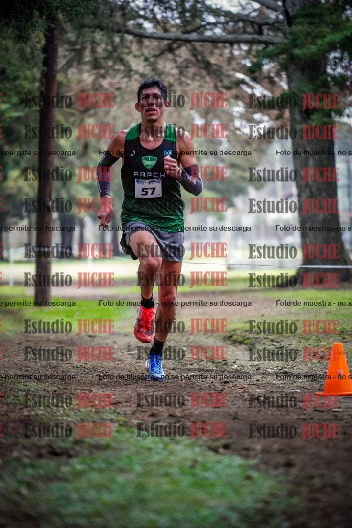 Fotos en el circuito