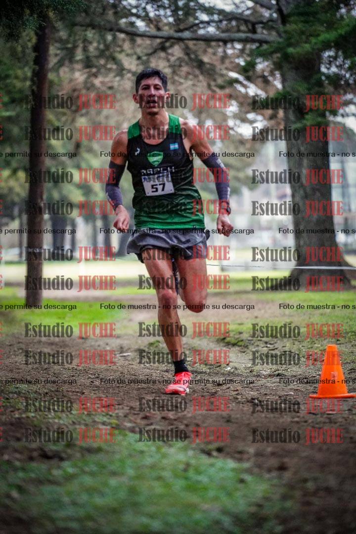 Fotos en el circuito