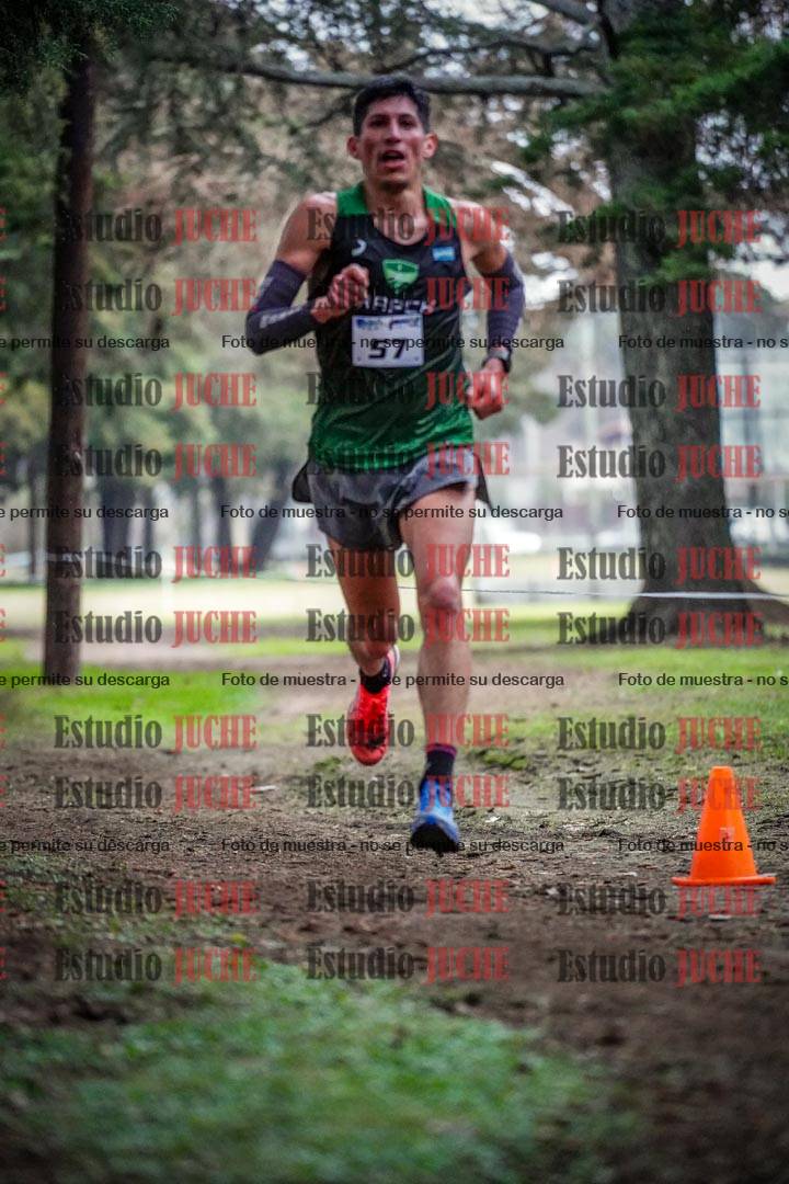 Fotos en el circuito