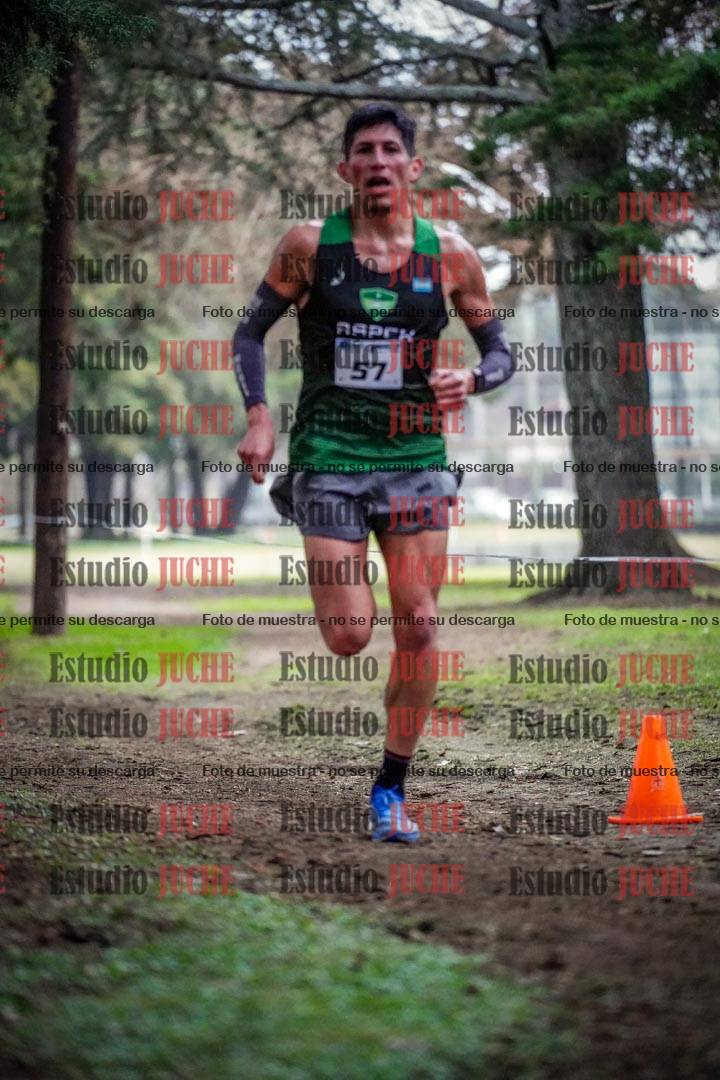 Fotos en el circuito