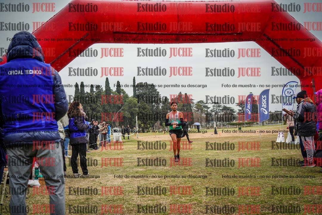 Fotos de la llegada