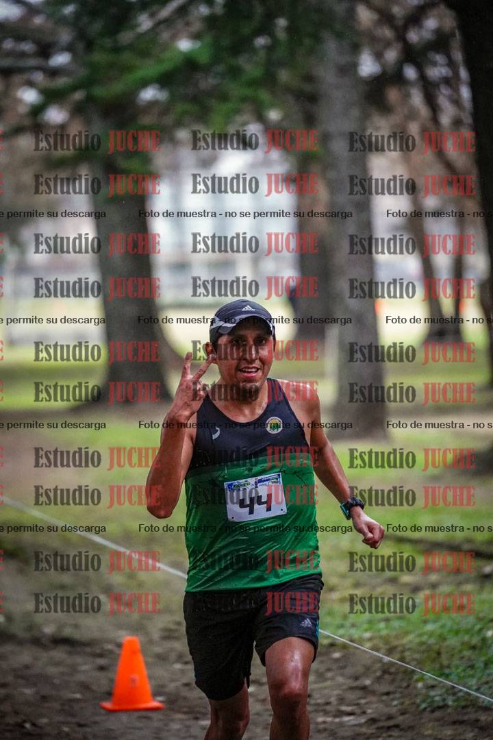Fotos en el circuito