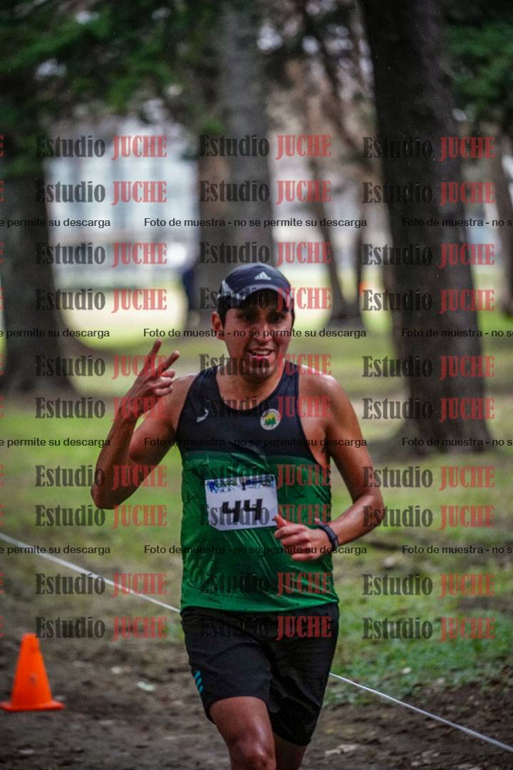Fotos en el circuito