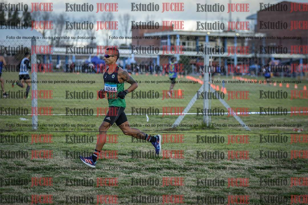 Fotos en el circuito