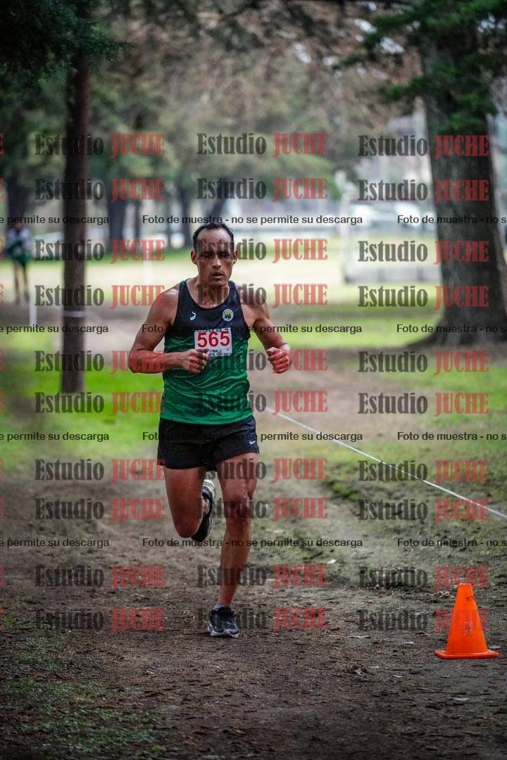 Fotos en el circuito