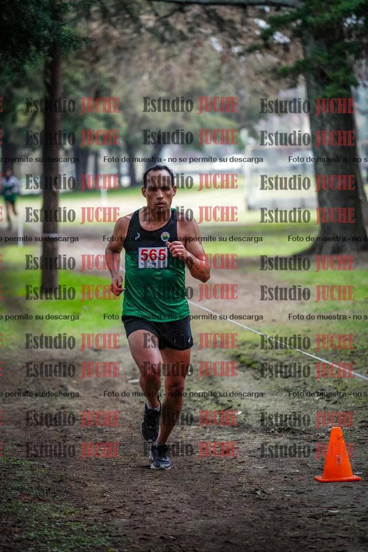 Fotos en el circuito