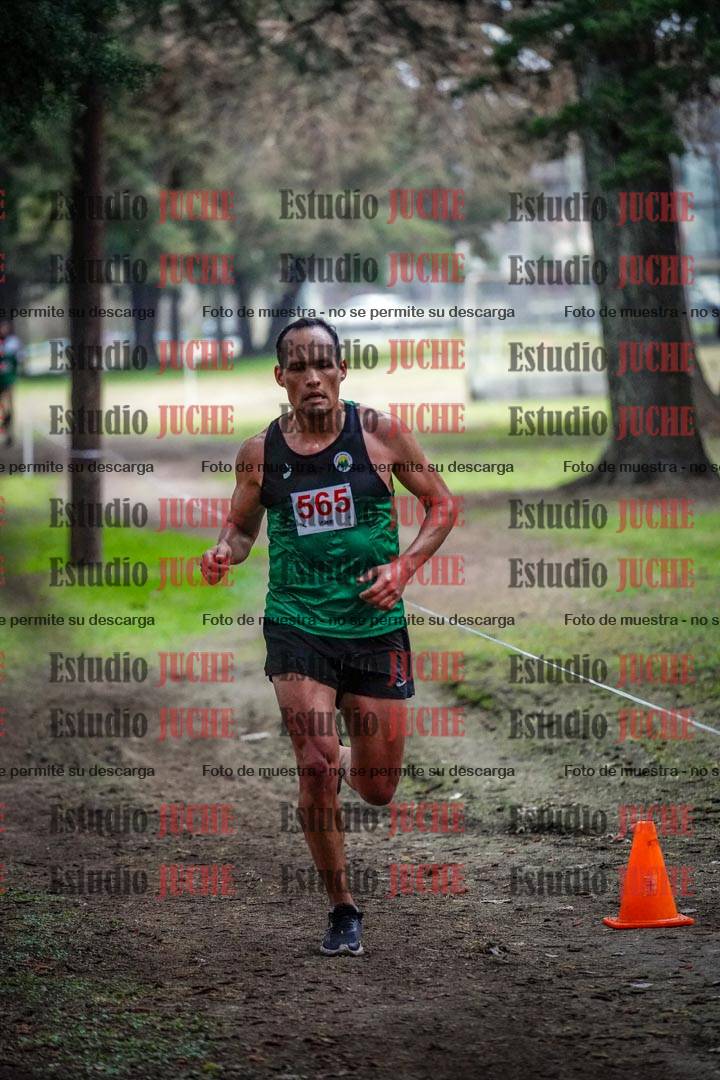 Fotos en el circuito