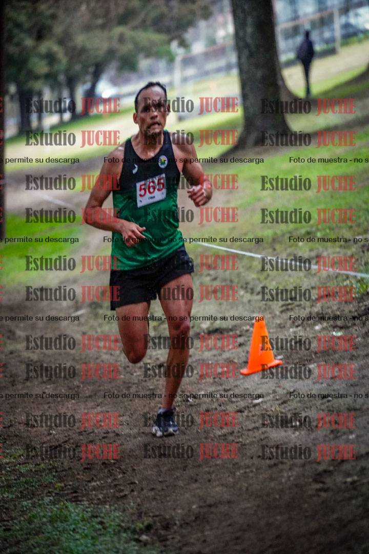 Fotos en el circuito