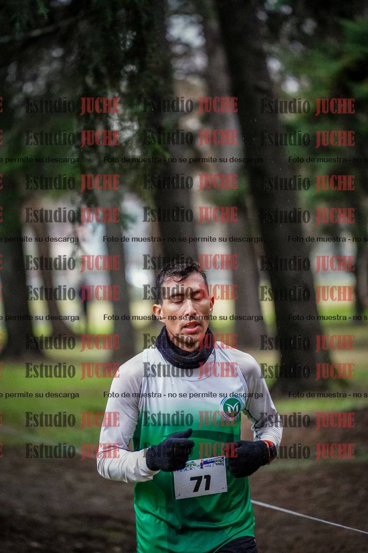 Fotos en el circuito
