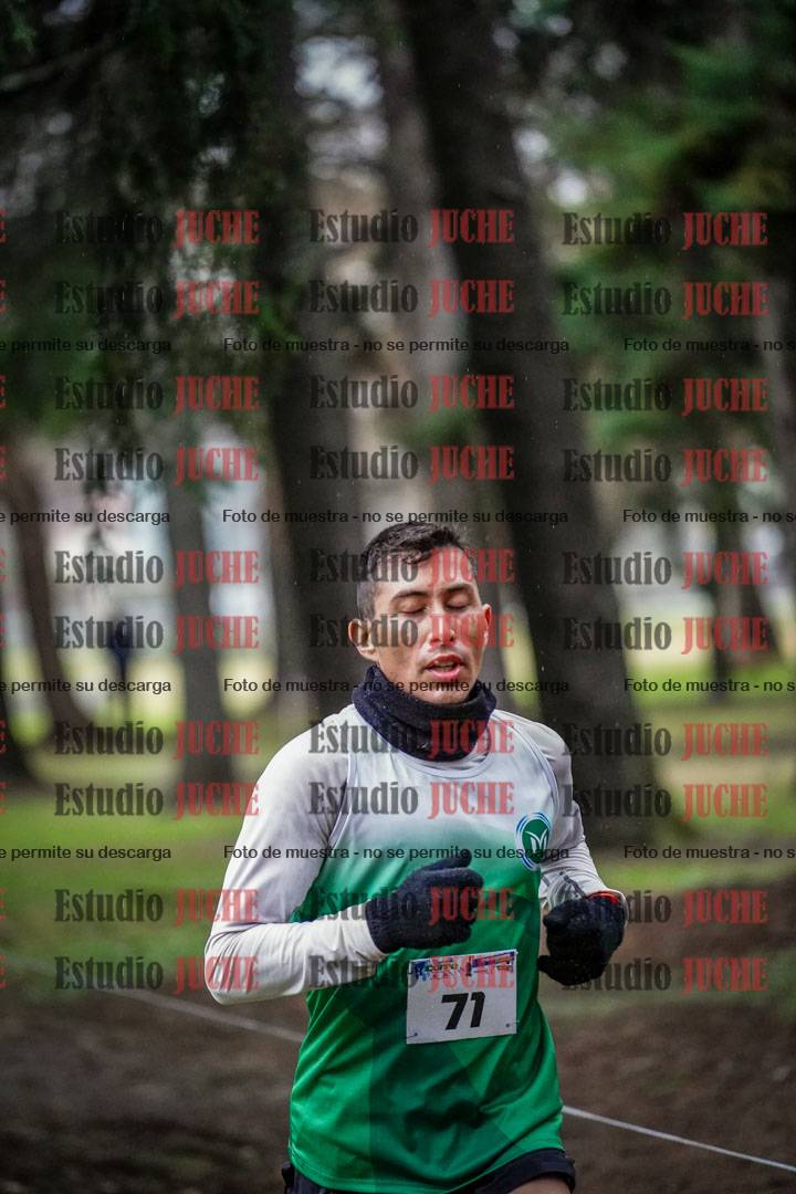 Fotos en el circuito