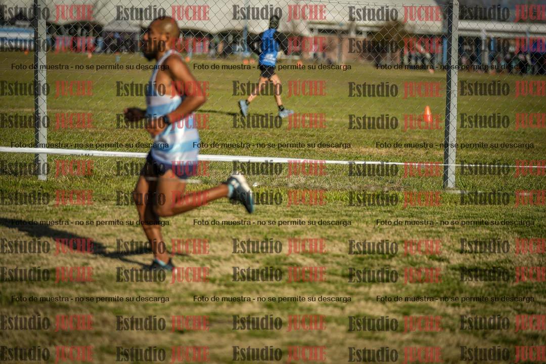 Fotos en el circuito