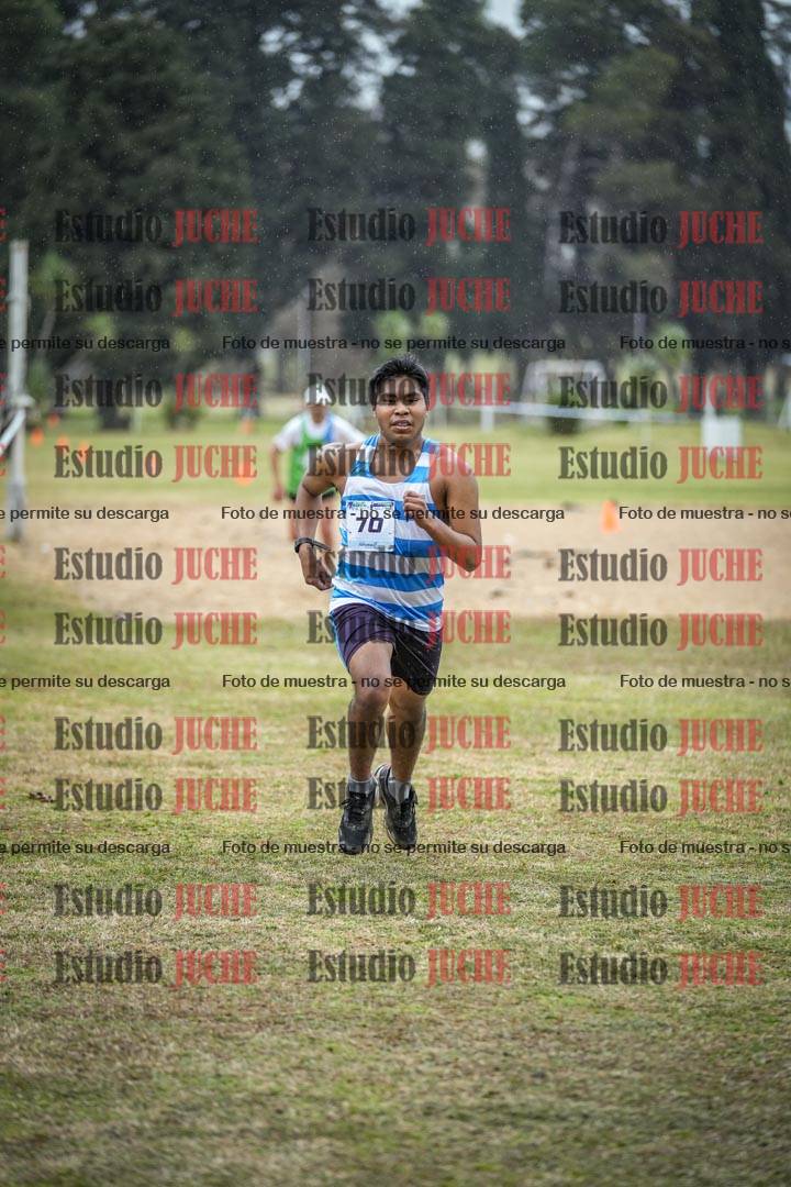 Fotos de la llegada