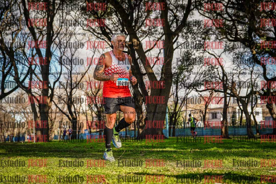 Fotos en el circuito