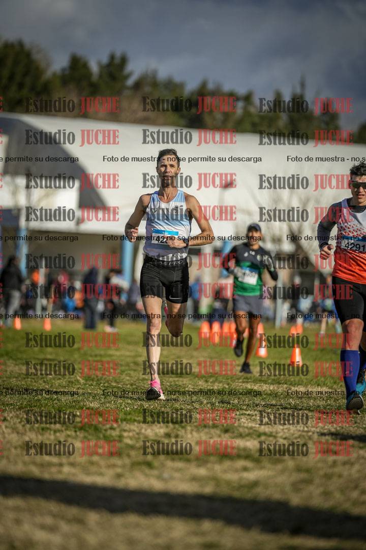 Fotos de las llegadas