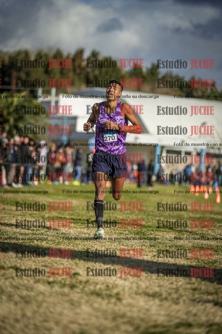 Fotos de las llegadas