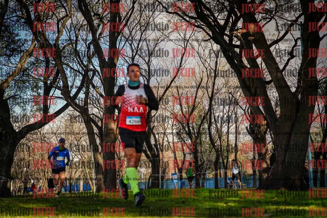 Fotos en el circuito