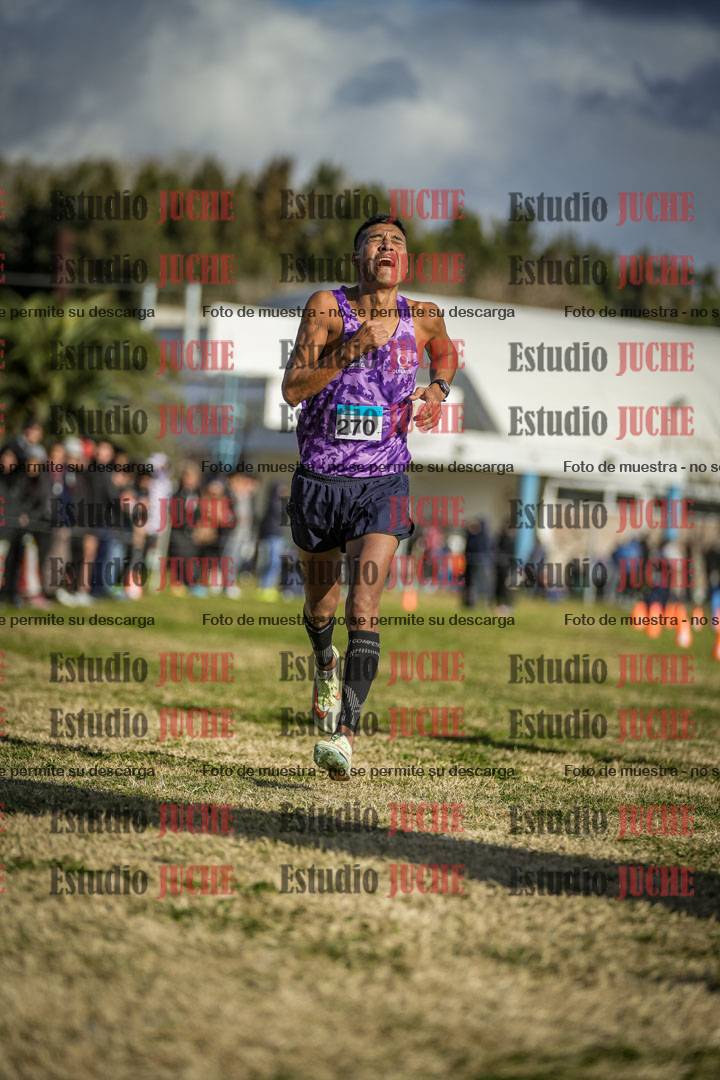 Fotos de las llegadas