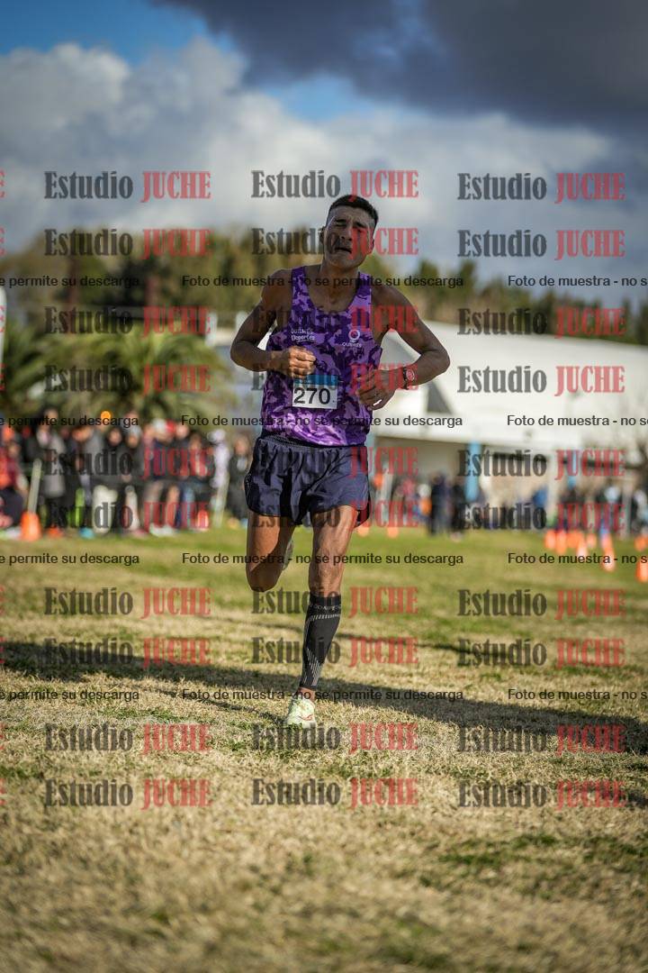 Fotos de las llegadas