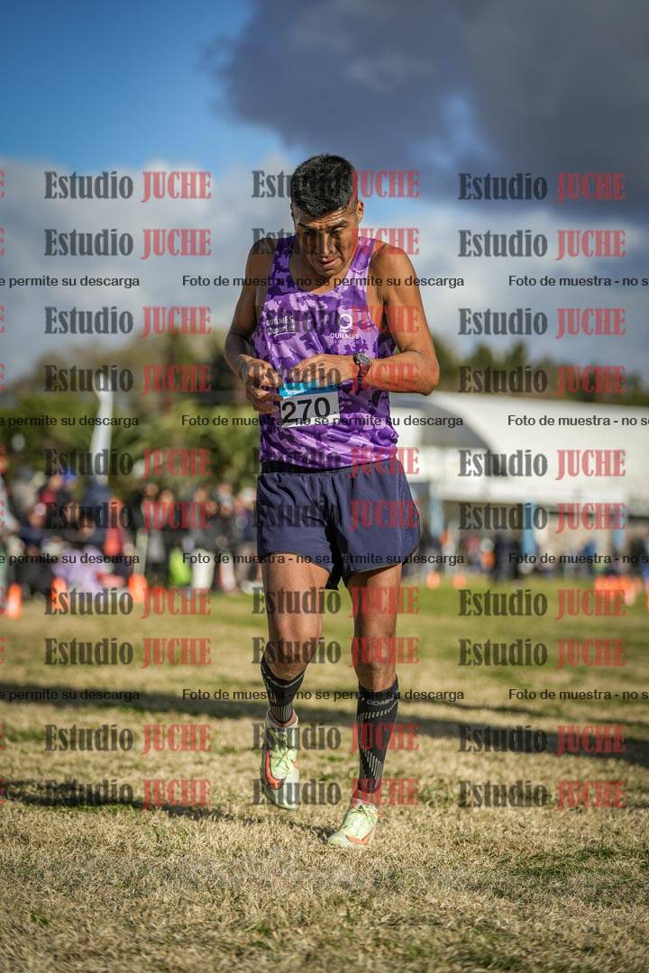 Fotos de las llegadas