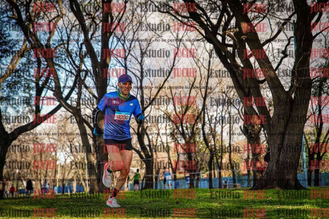 Fotos en el circuito